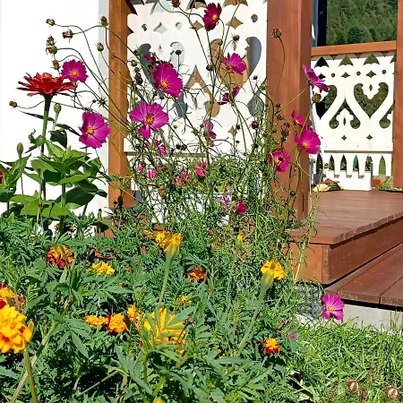 Gazdówka - Najlepsza Miejscówka W Pieninach *